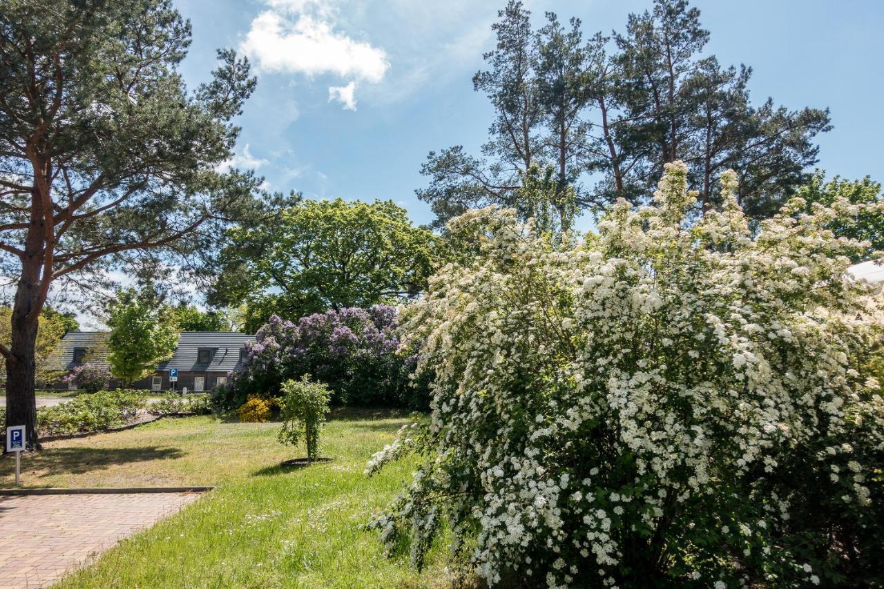 Premiumhaus Bodden Und Mehr-Brise Villa Born Eksteriør billede