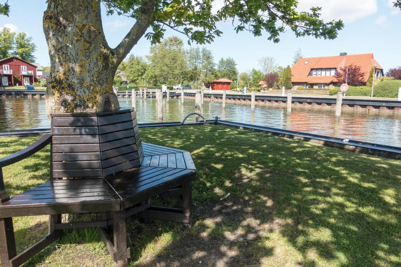 Premiumhaus Bodden Und Mehr-Brise Villa Born Eksteriør billede